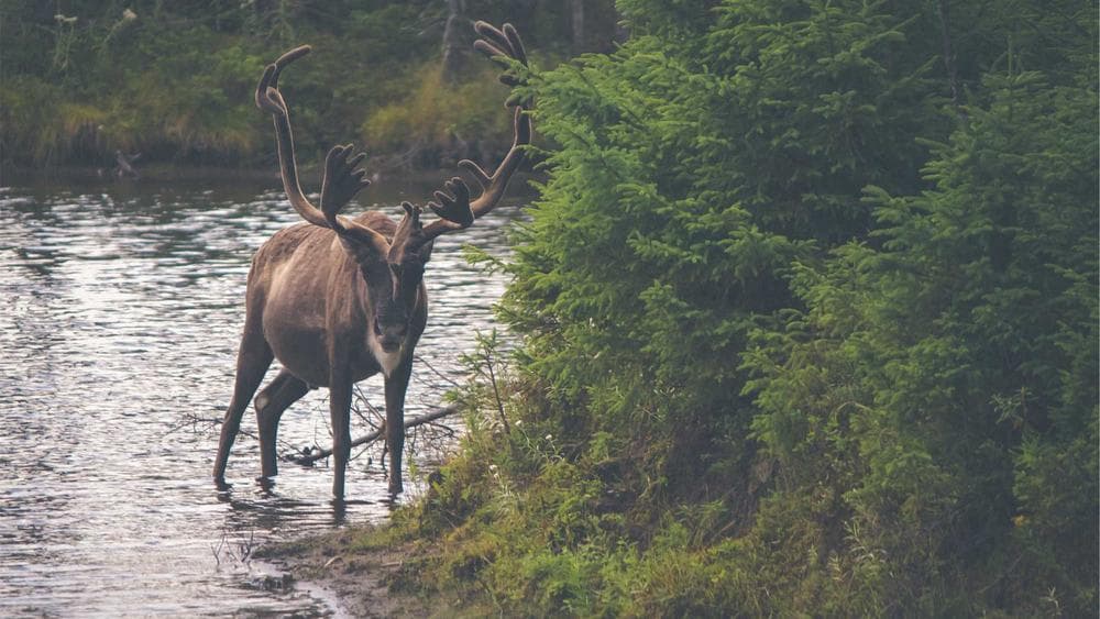 Mbo'ers wachten nog steeds op de beloofde stagevergoeding